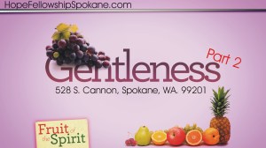 Gentleness2