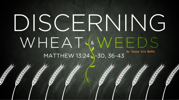 Parables: Discerning Wheat and&nbsp;Weeds